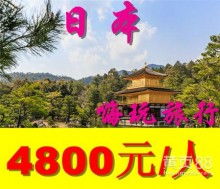 西安金橋國際旅行社 古都旅游的卓越向導與橋梁