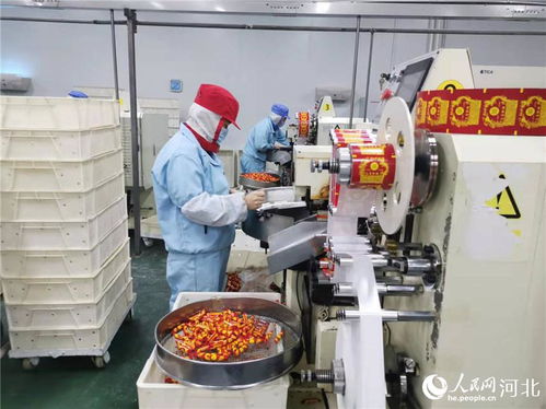 保定定興 節后復工忙 生產信心足