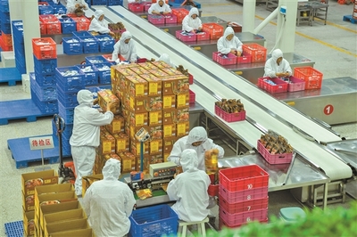 舞活龍頭產業興 做強特色專業鎮
