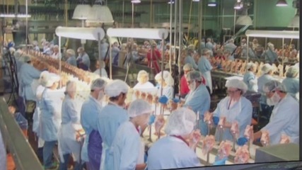 為什么美國食品加工廠會成為疫情重災區?