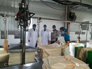 未央區食品藥監局開展生產企業食品安全專項檢查
