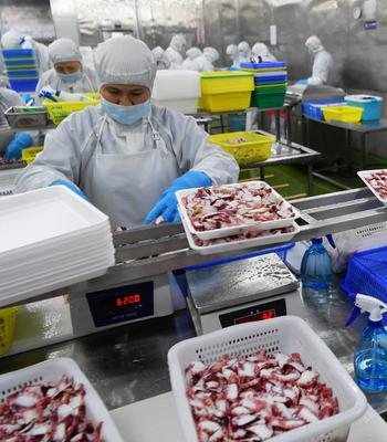 每日一詞∣推動外貿(mào)保穩(wěn)提質(zhì)ensure steady and high-quality growth in foreign trade