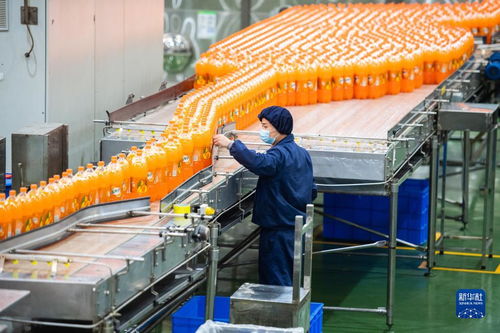 新華全媒 丨湖南寧鄉(xiāng) 食品企業(yè)加工忙