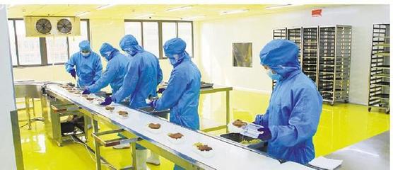 李欽輝調(diào)研總部型企業(yè)疫情防控和復(fù)工復(fù)產(chǎn)情況