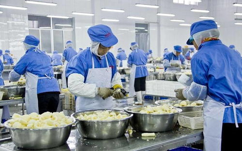 收藏版 食品廠藥品生產(chǎn)車間墻面材料對比大匯總