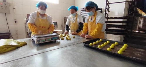 太原市晉源區(qū) 食品加工企業(yè)陸續(xù)復(fù)工復(fù)產(chǎn)