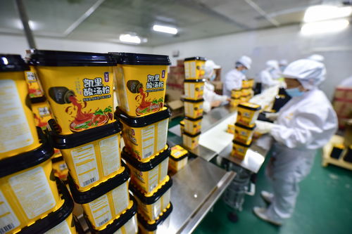 貴州麻江 食品企業(yè)創(chuàng)新發(fā)展促就業(yè)助增收