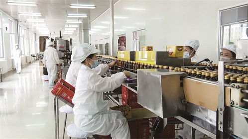 振興發(fā)展闖新路 看通化縣經(jīng)濟(jì)高質(zhì)量發(fā)展的生動(dòng)實(shí)踐