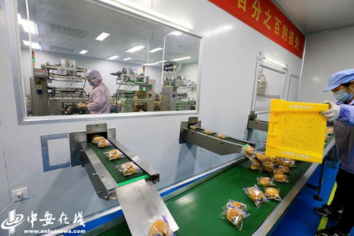 廬江 食品企業復工復產保供應