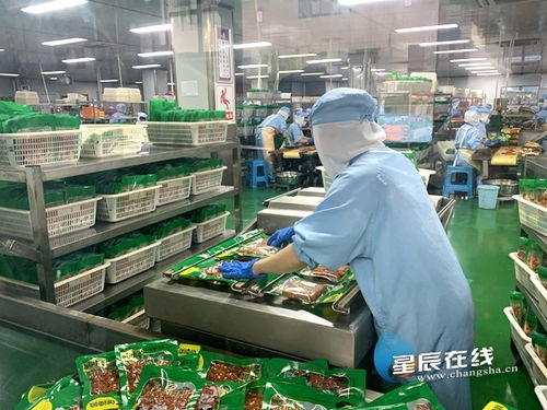 湘 當自覺自信自強 漣源市橋頭河鎮 小蔬菜 變成 大產業