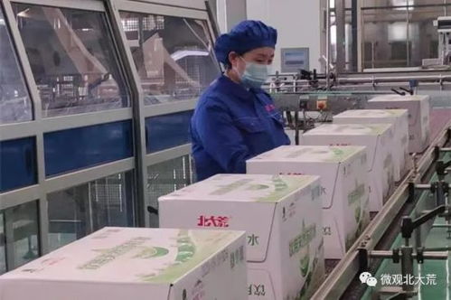北大荒集團全力生產保供給穩市場