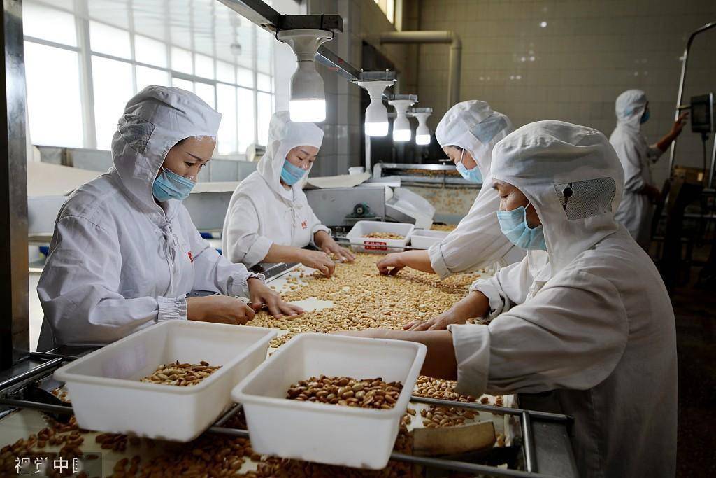 臨沂:食品企業工人深加工花生 提高農產品附加值_生產_常規_國家