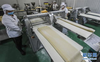 河北安平 高端食品機(jī)械制造受歡迎