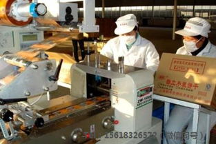 食品生產加工報價 廠家