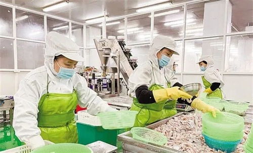 春節前夕食品生產企業把握需求旺季,汕頭 預制菜 全力追訂單趕生產