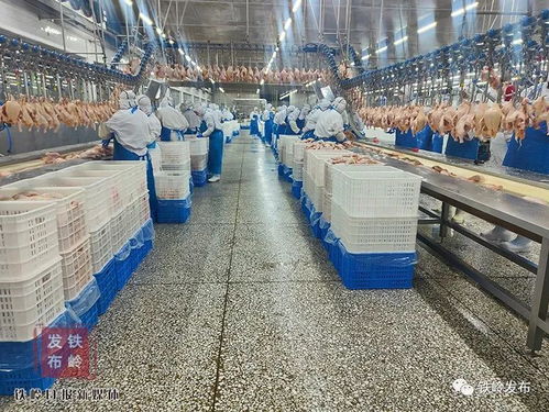 考考你,大成農牧生產的食品憑啥讓人放心