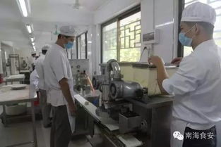 南海區人民政府門戶網站
