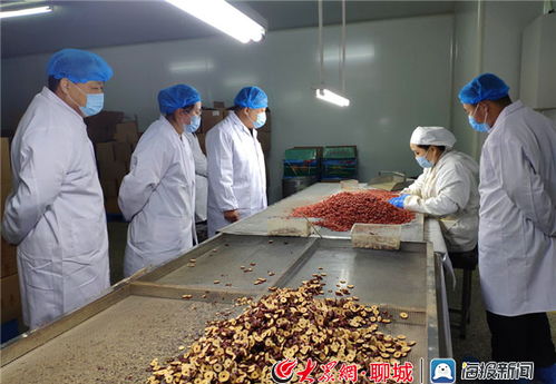 東阿縣市場監(jiān)管局 大力推動食品生產(chǎn)企業(yè)復(fù)工復(fù)產(chǎn)
