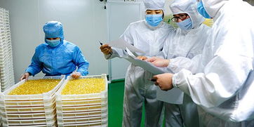 黃埔海關(guān)完成首批出口食品生產(chǎn)企業(yè)備案審核 圖