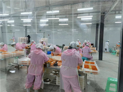 食品加工廠里工人們正忙著串肉串。
