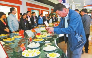 壯大首位產業 振興一方經濟 定西市安定區馬鈴薯產業發展綜述