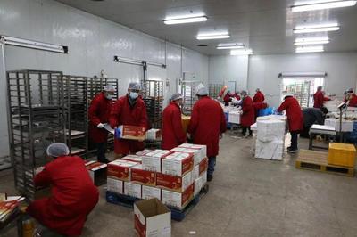 "火力全開"!金山這些企業忙起來了→