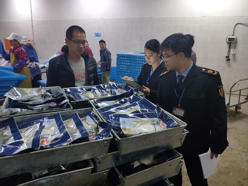 北海市市場監管執法支隊銀海大隊開展食品生產企業專項檢查